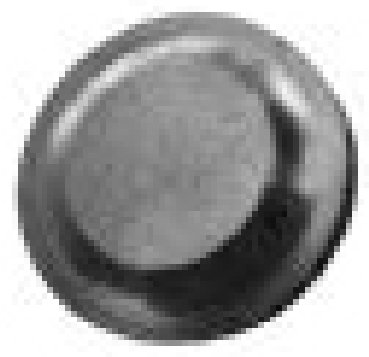 [05.066.33.R11] Apaļais ferīts D.32 mm (05.066.33.R11, MARCO TOOLS)