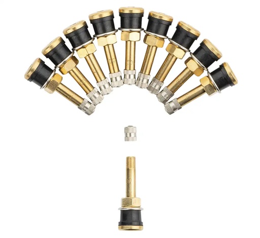 [V-3-21-3 TR 500-10vnt] ᴿᴰ Ventilis bekameriniams sunkvežimių ratams TR 500 (V-3-21-3), 10 vnt. (V-3-21-3 TR 500, REDATS)