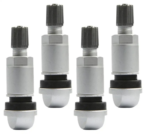 [03-02-24] ᴿᴰ Riepu ventilis TPMS spiediena sensoriem TPMS-10, 4 gab. (03-02-24, REDATS)