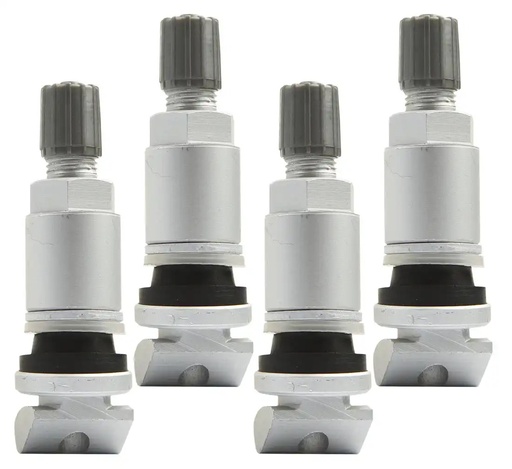 [03-02-28] ᴿᴰ Padangos ventilis slėgio davikliams TPMS-14, 4 vnt. (03-02-28, REDATS)